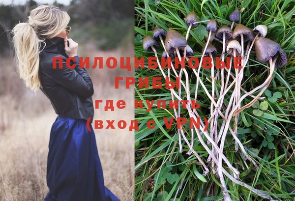 ешки Среднеколымск