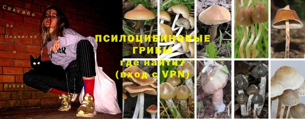 мдпв Чегем