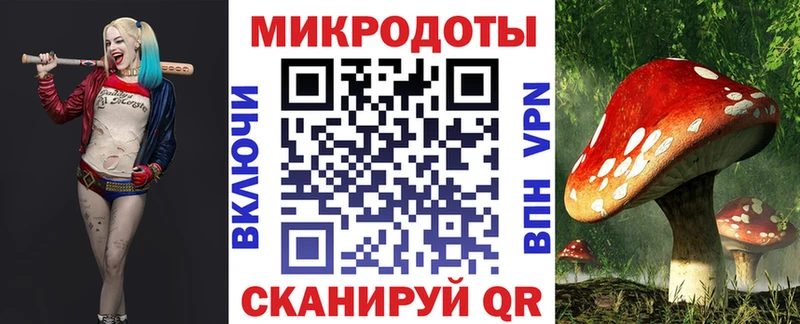 Псилоцибиновые грибы мицелий  Динская 